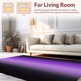 Ultra Soft Area Rug, Non Slip, Stain Resistant, Washable Area Rugs for Living Room, Bedroom, Chic Ombre Textured Visual Appeal(Purple)