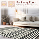 Ultra Soft Area Rug, Non Slip, Stain Resistant, Washable Area Rugs for Living Room, Bedroom, Monochrome Maze: Graphic Stripe Woven Accent Rug for Entry(Black)