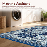 Ultra Soft Area Rug, Non Slip, Stain Resistant, Washable Area Rugs for Living Room, Bedroom, Beige Plush for Kids Room(Blue)