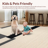 Ultra Soft Area Rug, Non Slip, Stain Resistant, Washable Area Rugs for Living Room, Bedroom, Stylish Transitional Black and Beige(Beige)
