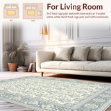 Ultra Soft Area Rug, Non Slip, Stain Resistant, Washable Area Rugs for Living Room, Bedroom, Sleek Geometric Patterns in Grayscale(Beige)