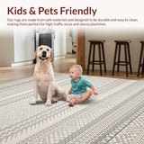 Ultra Soft Area Rug, Non Slip, Stain Resistant, Washable Area Rugs for Living Room, Bedroom, Rustic Textured Checkered Design(Gray)