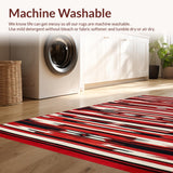 Elegant Multicolored Serape Design(Red)