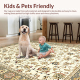 Ultra Soft Area Rug, Non Slip, Stain Resistant, Washable Area Rugs for Living Room, Bedroom, Elegant Soft Earthy Palette(Beige)