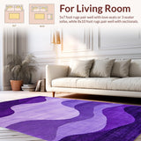 Ultra Soft Area Rug, Non Slip, Stain Resistant, Washable Area Rugs for Living Room, Bedroom, Sleek Textural Purple Floor Accent(Purple)