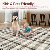 Ultra Soft Area Rug, Non Slip, Stain Resistant, Washable Area Rugs for Living Room, Bedroom, Contemporary Soft Beige Checkers(Beige)