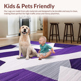 Ultra Soft Area Rug, Non Slip, Stain Resistant, Washable Area Rugs for Living Room, Bedroom, Vibrant Minimalist Artful Design(Purple)