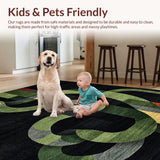 Ultra Soft Area Rug, Non Slip, Stain Resistant, Washable Area Rugs for Living Room, Bedroom, Chic Modernist Black Design(Black)