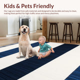 Ultra Soft Area Rug, Non Slip, Stain Resistant, Washable Area Rugs for Living Room, Bedroom, Abstract Stripe(Blue)