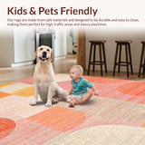 Ultra Soft Area Rug, Non Slip, Stain Resistant, Washable Area Rugs for Living Room, Bedroom, Chic Velvet-Look Rug with Artful Dot Matrix and Contemporary Peach Tones(Pink)