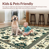 Ultra Soft Area Rug, Non Slip, Stain Resistant, Washable Area Rugs for Living Room, Bedroom, Vintage Hallway Runner in Beige and Green(Ivory)