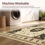 Ultra Soft Area Rug, Non Slip, Stain Resistant, Washable Area Rugs for Living Room, Bedroom, Fringe Beige Area Bohemian Inspired Design(White)