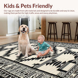 Ultra Soft Area Rug, Non Slip, Stain Resistant, Washable Area Rugs for Living Room, Bedroom, Vibrant Loop-and-Cut Textured Pattern(Black)