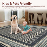 Ultra Soft Area Rug, Non Slip, Stain Resistant, Washable Area Rugs for Living Room, Bedroom, Chic Modern Border Aesthetic(Blue)