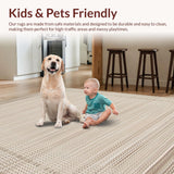 Ultra Soft Area Rug, Non Slip, Stain Resistant, Washable Area Rugs for Living Room, Bedroom, Vibrant Tasseled Modern Simplicity(Beige)