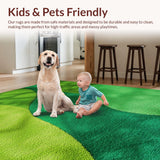 Ultra Soft Area Rug, Non Slip, Stain Resistant, Washable Area Rugs for Living Room, Bedroom, Moss Aesthetic Washable Playroom Shag Carpet(Green)