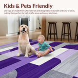 Ultra Soft Area Rug, Non Slip, Stain Resistant, Washable Area Rugs for Living Room, Bedroom, Luxurious Textured Linear Elements(Purple)