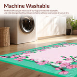 Ultra Soft Area Rug, Non Slip, Stain Resistant, Washable Area Rugs for Living Room, Bedroom, Playful Pastel Fruit Motif(Pink)
