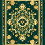 Ultra Soft Area Rug, Non Slip, Stain Resistant, Washable Area Rugs for Living Room, Bedroom, with Ornate(Green)