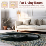 Ultra Soft Area Rug, Non Slip, Stain Resistant, Washable Area Rugs for Living Room, Bedroom, Black Music Record Bedroom Non-Slip Area Rug(Black)