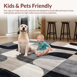 Ultra Soft Area Rug, Non Slip, Stain Resistant, Washable Area Rugs for Living Room, Bedroom, Contemporary Abstract Rug with Minimalist Shapes and Beige Linear Motifs(Gray)