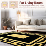 Ultra Soft Area Rug, Non Slip, Stain Resistant, Washable Area Rugs for Living Room, Bedroom, Chic Modern Abstract Motif(Black)