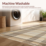 Ultra Soft Area Rug, Non Slip, Stain Resistant, Washable Area Rugs for Living Room, Bedroom, Rustic Multi-Colored Woven Texture(Beige)