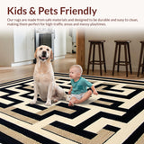 Ultra Soft Area Rug, Non Slip, Stain Resistant, Washable Area Rugs for Living Room, Bedroom, Greek Key Transitional Entryway Stain-Resistant Carpet(Beige)