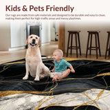 Ultra Soft Area Rug, Non Slip, Stain Resistant, Washable Area Rugs for Living Room, Bedroom, Modern Chic Abstract Elements(Black)