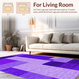 Ultra Soft Area Rug, Non Slip, Stain Resistant, Washable Area Rugs for Living Room, Bedroom, Vibrant Soft Furry Home Accent(Purple)