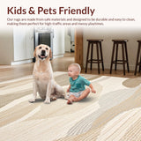 Ultra Soft Area Rug, Non Slip, Stain Resistant, Washable Area Rugs for Living Room, Bedroom, Serene Earthy Toned Linear Flow(Beige)