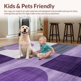 Ultra Soft Area Rug, Non Slip, Stain Resistant, Washable Area Rugs for Living Room, Bedroom, Elegant Purple Grey Artistry(Purple)