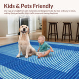 Ultra Soft Area Rug, Non Slip, Stain Resistant, Washable Area Rugs for Living Room, Bedroom, Rustic Weather-Resistant Charm(Blue)