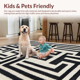 Ultra Soft Area Rug, Non Slip, Stain Resistant, Washable Area Rugs for Living Room, Bedroom, Contemporary Black and Ivory Fusion(Black)