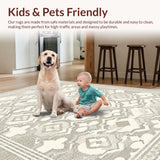 Chic Minimalist Cream Shag Finish(Gray)