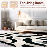 Ultra Soft Area Rug, Non Slip, Stain Resistant, Washable Area Rugs for Living Room, Bedroom, Contemporary Geometric Arc Stylish Black Cream Patterned Area(Black)