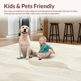 Ultra Soft Area Rug, Non Slip, Stain Resistant, Washable Area Rugs for Living Room, Bedroom, Modern Entryway Area Clean Scraper Design Slip Resistant Floor(Beige)