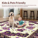 Ultra Soft Area Rug, Non Slip, Stain Resistant, Washable Area Rugs for Living Room, Bedroom, Ornate Floral Motif for Dining Space(Ivory)