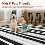 Ultra Soft Area Rug, Non Slip, Stain Resistant, Washable Area Rugs for Living Room, Bedroom, Contrast Rhythm Stripe Rug with Artistic Parallel Lines and Sleek Simplicity(Black)