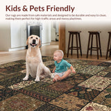 Ultra Soft Area Rug, Non Slip, Stain Resistant, Washable Area Rugs for Living Room, Bedroom, Stylish Colorful Trellis Motif(Brown)