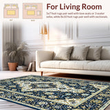 Ultra Soft Area Rug, Non Slip, Stain Resistant, Washable Area Rugs for Living Room, Bedroom, Sky Blue Elegant Patterned Motif(Blue)
