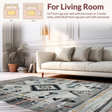 Ultra Soft Area Rug, Non Slip, Stain Resistant, Washable Area Rugs for Living Room, Bedroom, Chic Southwest Inspired Design(Gray)