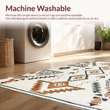 Ultra Soft Area Rug, Non Slip, Stain Resistant, Washable Area Rugs for Living Room, Bedroom, Luxurious Tassel Accents Aesthetic(Beige)