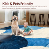 Ultra Soft Area Rug, Non Slip, Stain Resistant, Washable Area Rugs for Living Room, Bedroom, Minimalist Fluffy Decorative Theme(Blue)