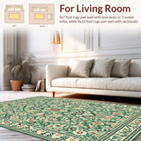 Ultra Soft Area Rug, Non Slip, Stain Resistant, Washable Area Rugs for Living Room, Bedroom, Vintage Sage Green Living Room Low Pile Rug(Green)