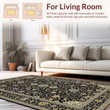 Ultra Soft Area Rug, Non Slip, Stain Resistant, Washable Area Rugs for Living Room, Bedroom, Exquisite Vintage-Inspired Pattern(Black)