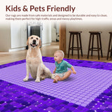 Ultra Soft Area Rug, Non Slip, Stain Resistant, Washable Area Rugs for Living Room, Bedroom, Soft Plush Modern Elegance(Purple)