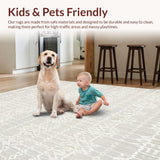 Ultra Soft Area Rug, Non Slip, Stain Resistant, Washable Area Rugs for Living Room, Bedroom, Durable Kitchen Runner Non Slip for Hallway or Entryway(Gray)