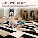 Ultra Soft Area Rug, Non Slip, Stain Resistant, Washable Area Rugs for Living Room, Bedroom, Contemporary Geometric Area with Bold Lines and Abstract Design(Beige)