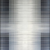 Ultra Soft Area Rug, Non Slip, Stain Resistant, Washable Area Rugs for Living Room, Bedroom, Elegant Fluid Abstract Shapes(Gray)